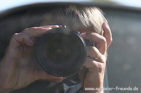 (Foto Goslar)_daenemark_2010_IMG_0631.jpg - ... hat Frauchen ...